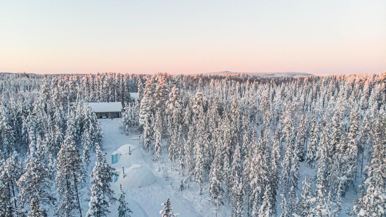 Aurora Igloo Fireplace-Heated Tents In A Secret Forest With Private Jacuzzi And Shared Sauna Bathroom And Dog Friendly Rovaniemi Bagian luar foto