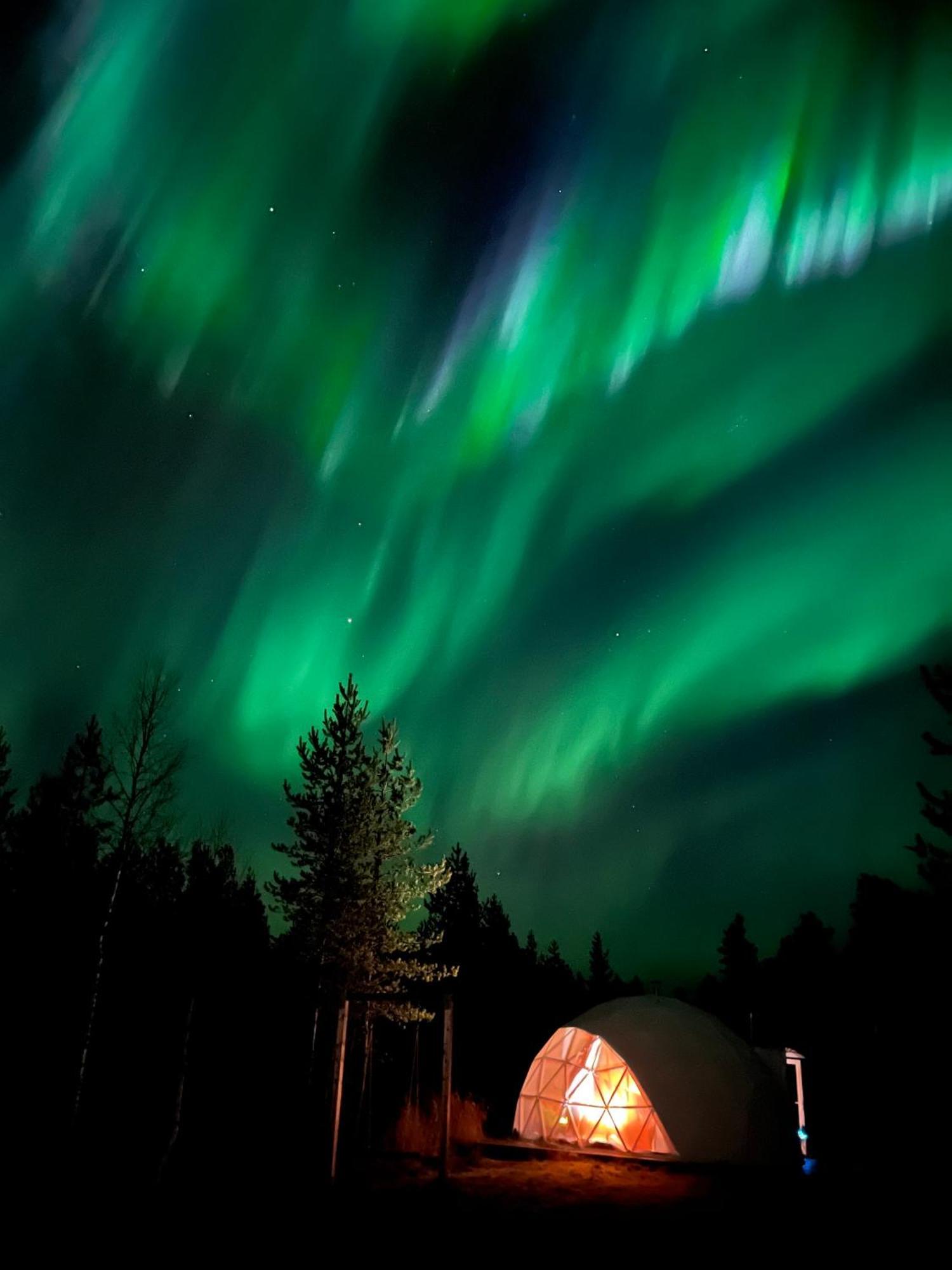 Aurora Igloo Fireplace-Heated Tents In A Secret Forest With Private Jacuzzi And Shared Sauna Bathroom And Dog Friendly Rovaniemi Bagian luar foto