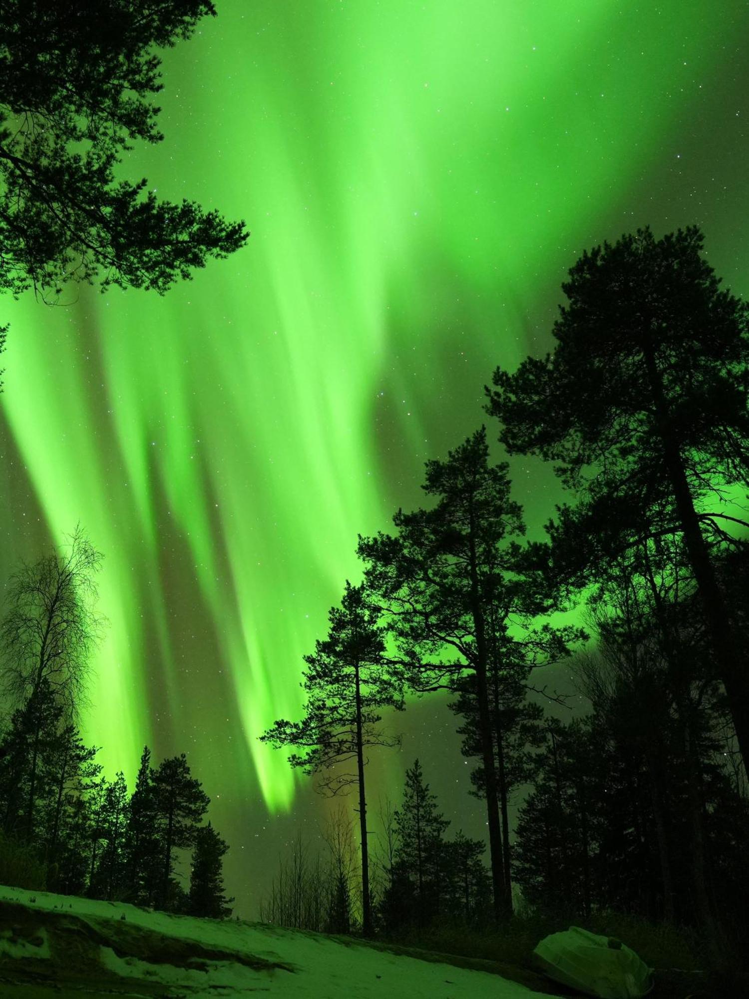 Aurora Igloo Fireplace-Heated Tents In A Secret Forest With Private Jacuzzi And Shared Sauna Bathroom And Dog Friendly Rovaniemi Bagian luar foto