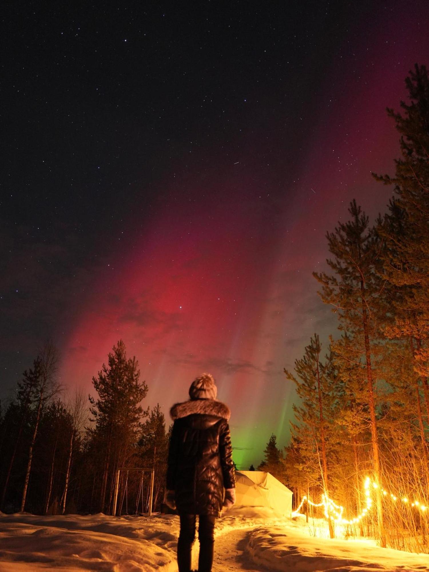 Aurora Igloo Fireplace-Heated Tents In A Secret Forest With Private Jacuzzi And Shared Sauna Bathroom And Dog Friendly Rovaniemi Bagian luar foto
